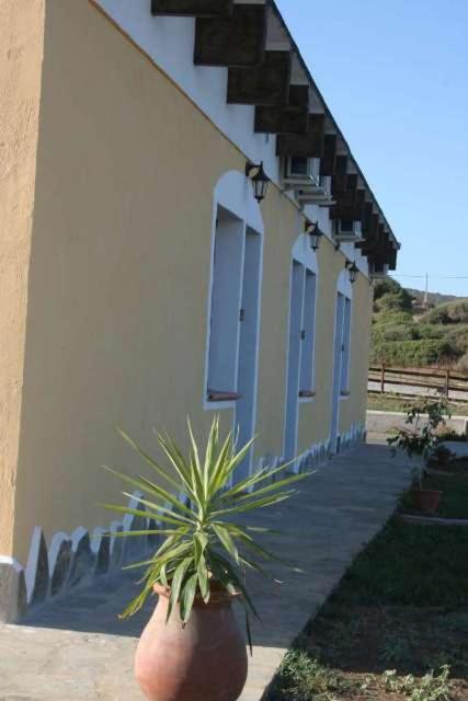 La Tankitta Turismo Rurale Stintino Bagian luar foto